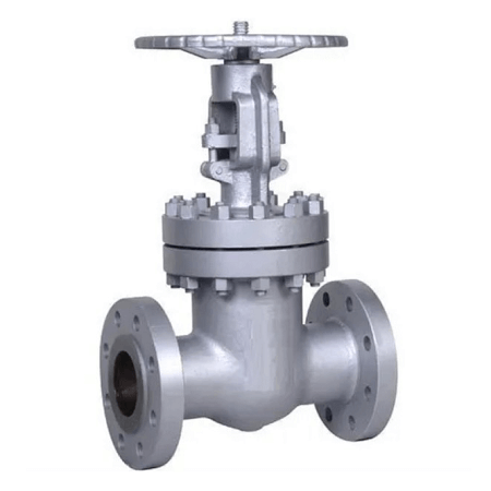 MS Globe Valve